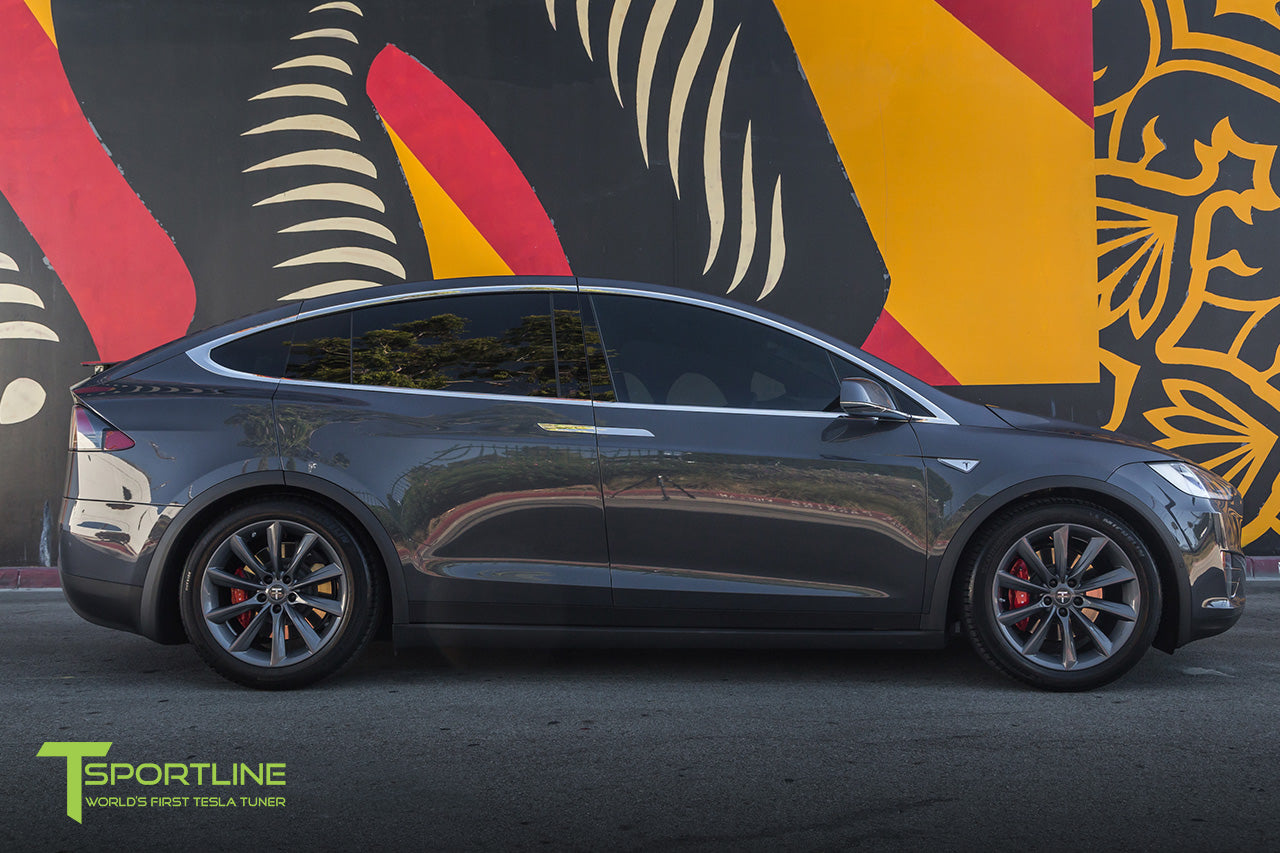 TST 20" Tesla Model X Wheel (Set of 4)