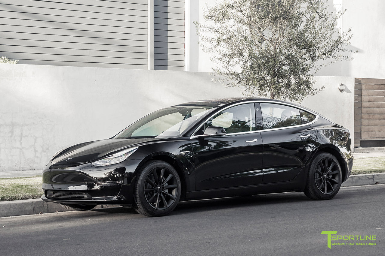 TST 18" Tesla Model 3 Wheel and Tire Package (Set of 4)