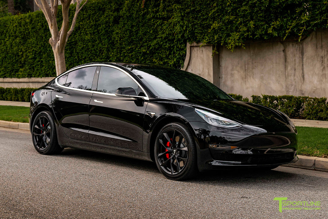 TSS 19