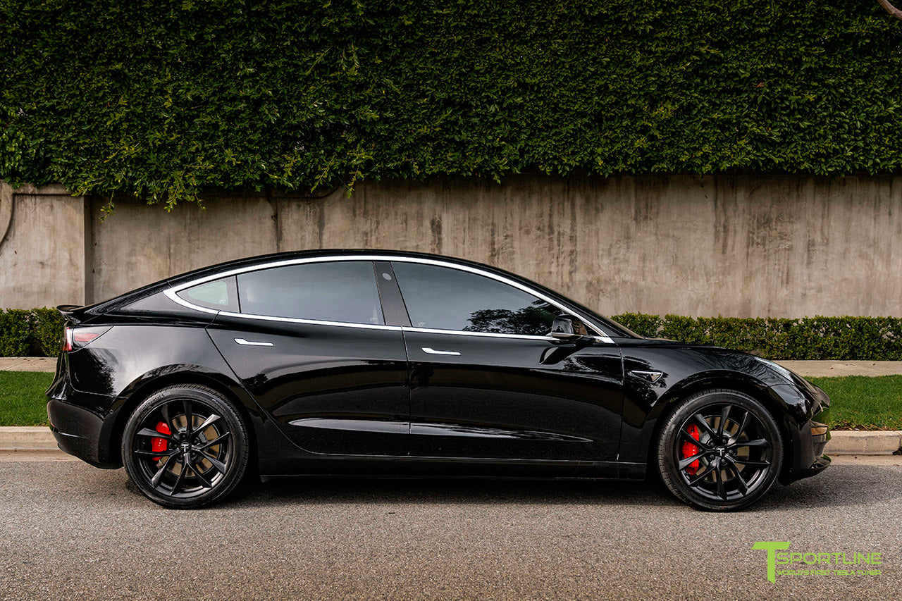 TSS 19" Tesla Model 3 Replacement Wheel and Tire