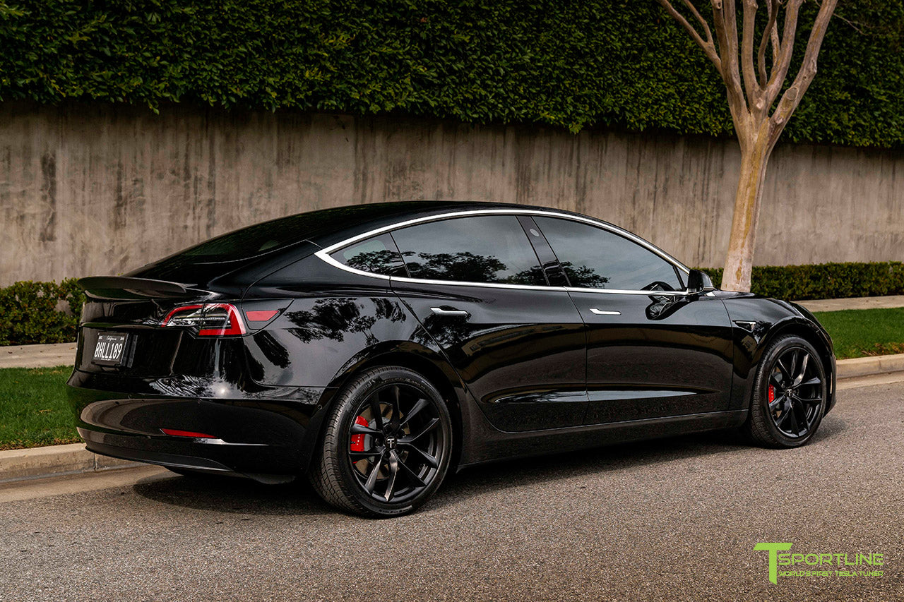 TSS 19" Tesla Model 3 Replacement Wheel and Tire