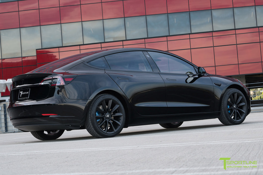 Model 3 19 sport wheel discount