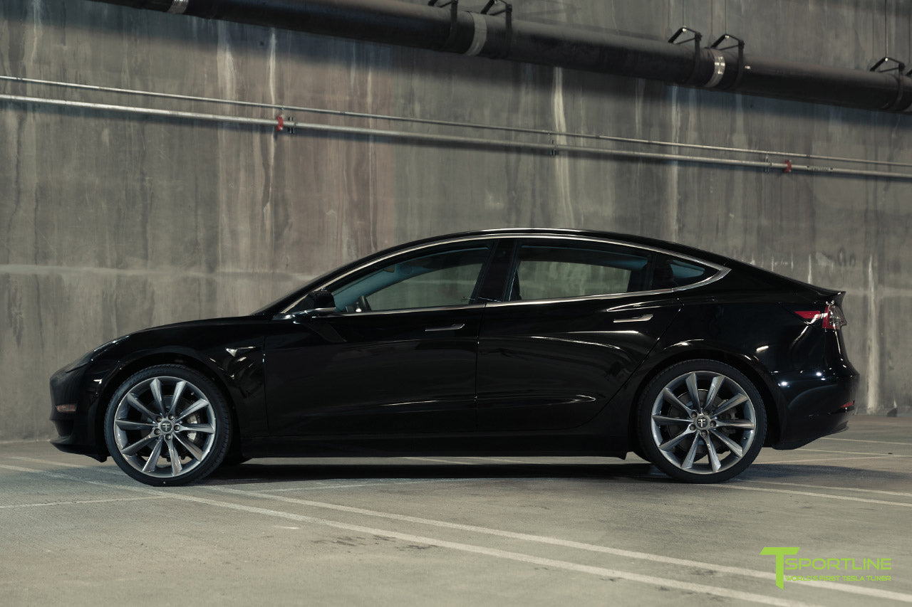 TST 20" Tesla Model 3 Wheel and Winter Tire Package (Set of 4)