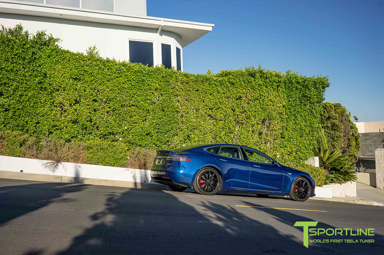 TST 19" Tesla Model S Wheel and Tire Package (Set of 4)