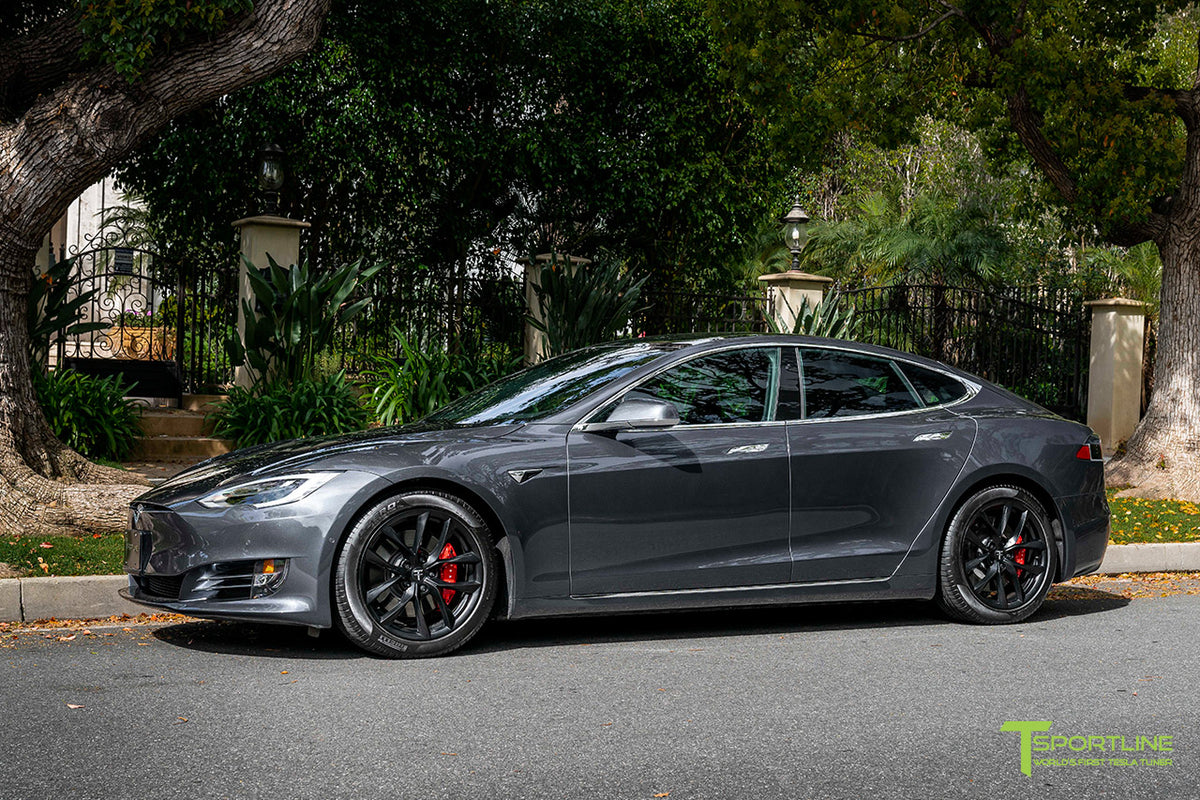 TSS 19&quot; Tesla Model S Replacement Wheel and Tire
