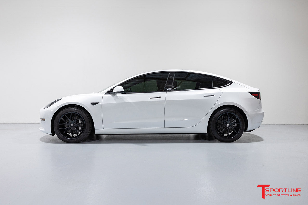 TSR 18" Tesla Model 3 Wheel and Winter Tire Package (Set of 4)