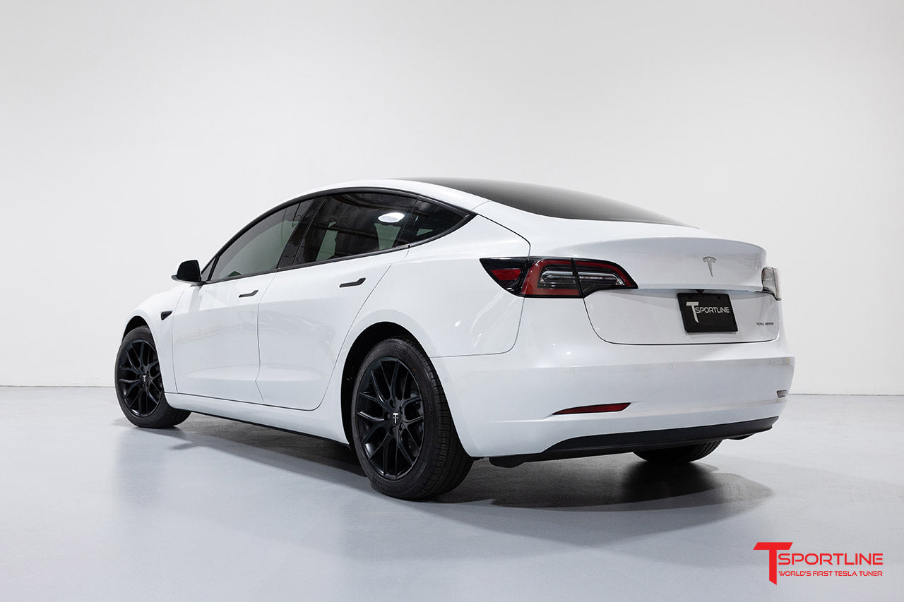 TSR 18" Tesla Model 3 Wheel and Winter Tire Package (Set of 4)