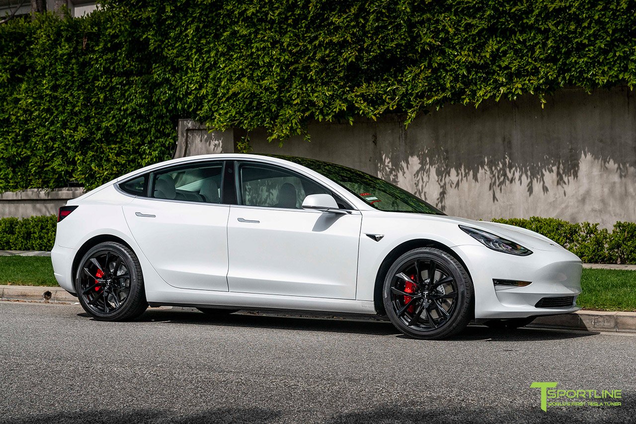 TSS 19" Tesla Model 3 Wheel and Winter Tire Package (Set of 4)