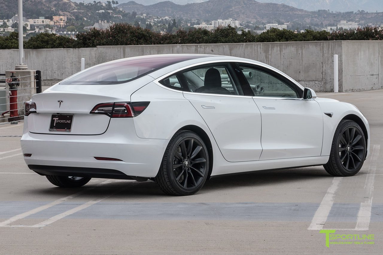 TST 19" Tesla Model 3 Wheel and Tire Package (Set of 4)