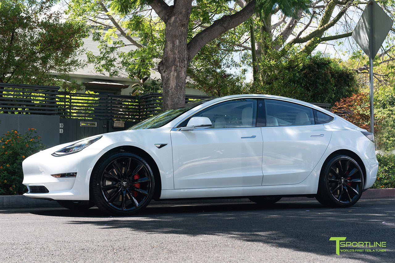 TST 20" Tesla Model 3 Wheel and Tire Package (Set of 4)