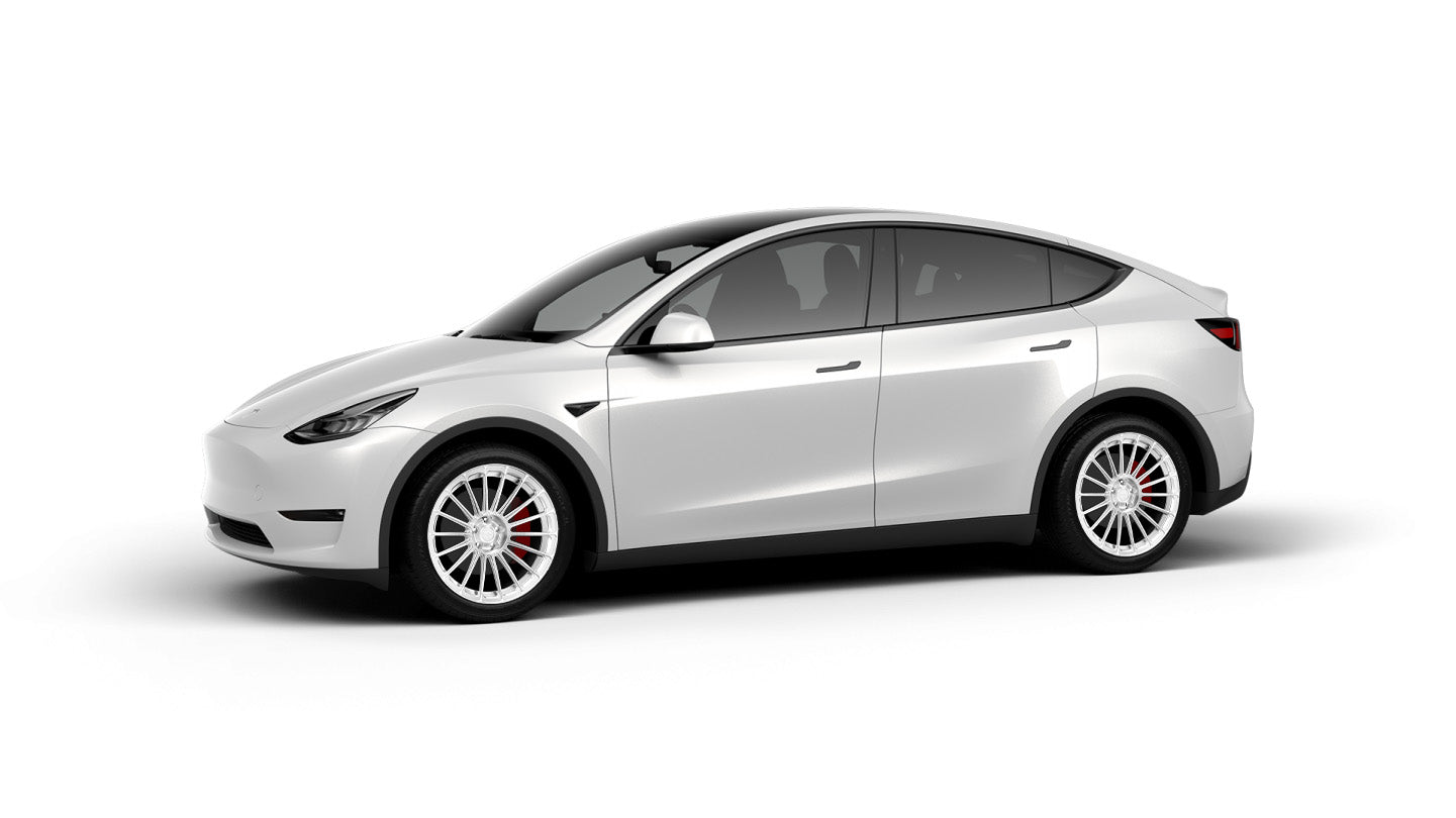 TY118 20" Tesla Model Y Wheel and Winter Tire Package (Set of 4)