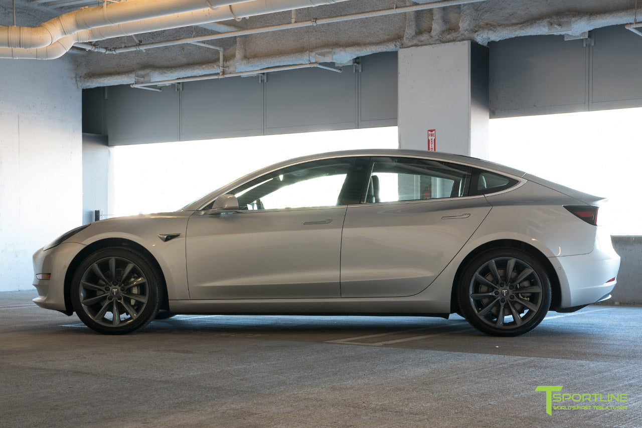 TST 19" Tesla Model 3 Wheel and Winter Tire Package (Set of 4)