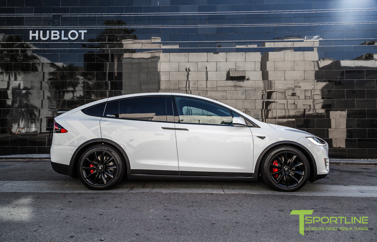 TST 20" Tesla Model X Wheel and Winter Tire Package (Set of 4)