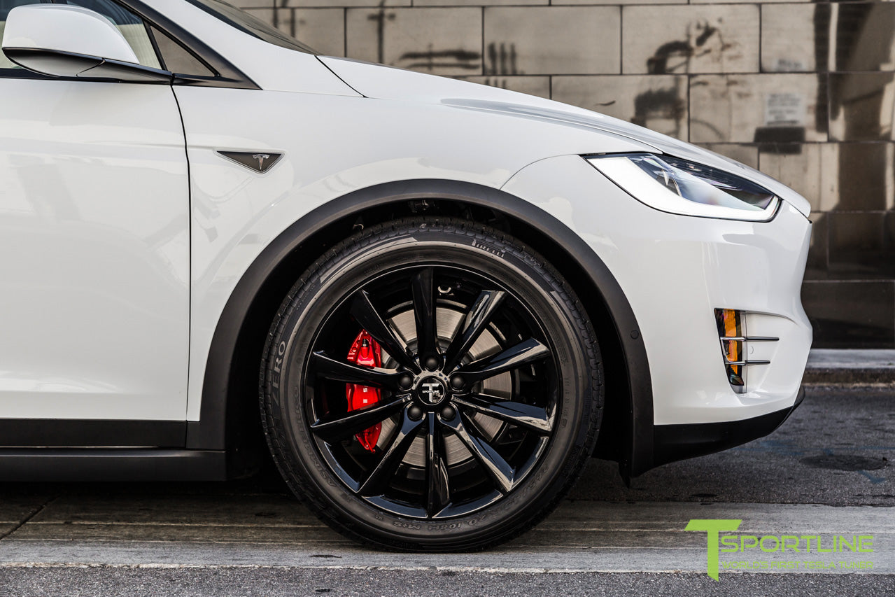 TST 20" Tesla Model X Wheel and Winter Tire Package (Set of 4)