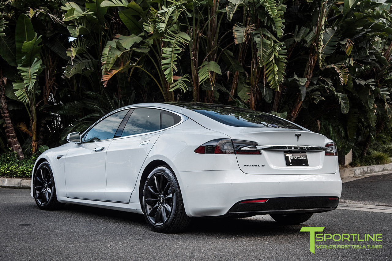 TST 19" Tesla Model S Wheel and Tire Package (Set of 4)