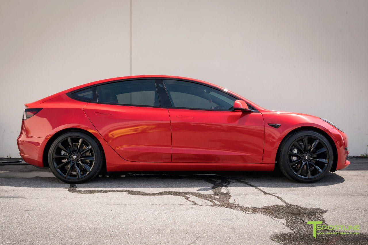 Tesla Model 3 Lowering Springs