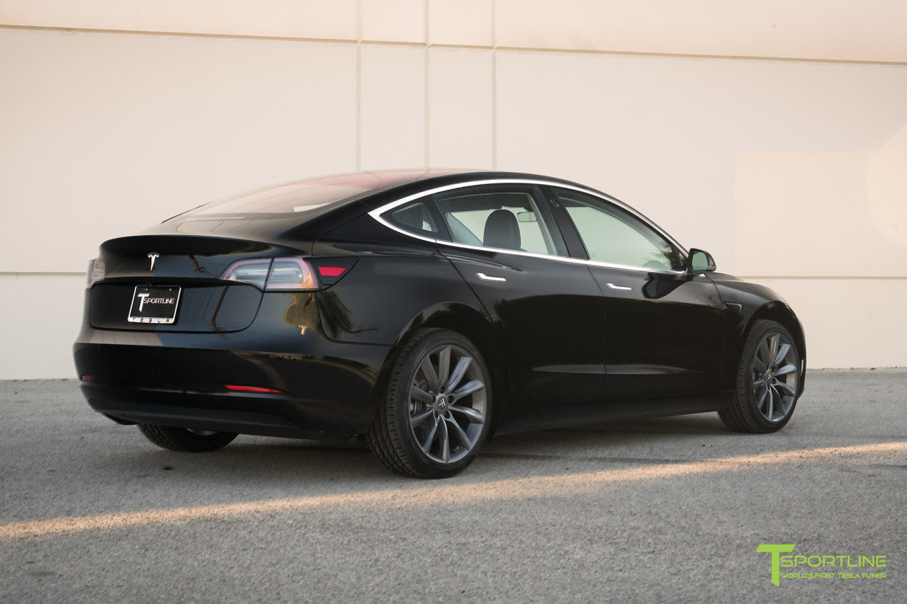 TST 19" Tesla Model 3 Wheel and Tire Package (Set of 4)