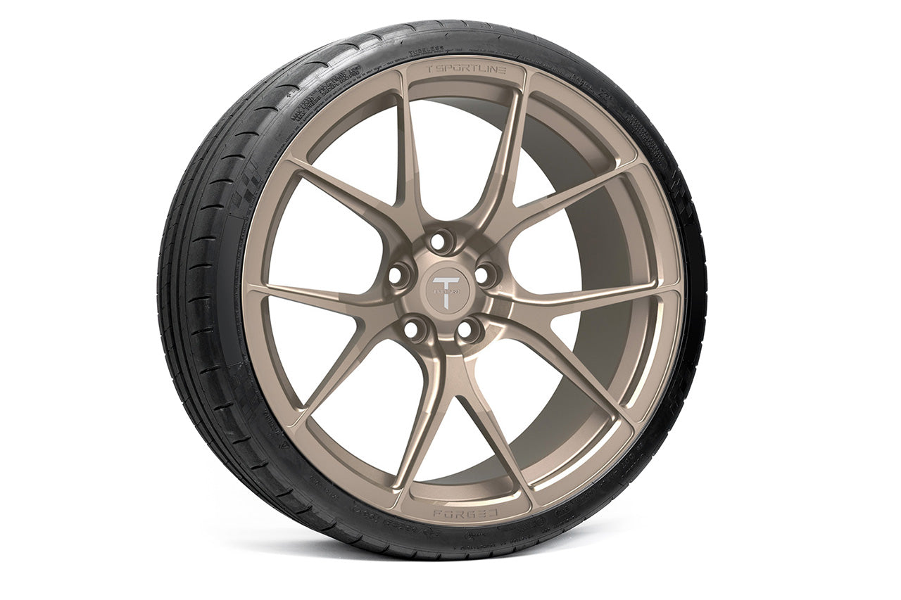 TS115 21" Tesla Model S Replacement Wheel and Tire
