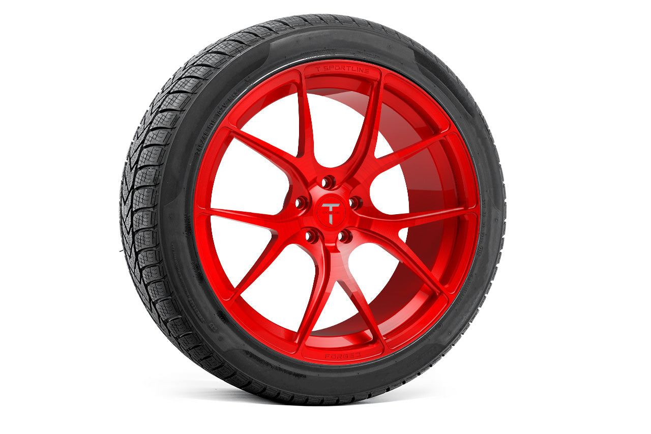 TS115 19" Tesla Model S Long Range & Plaid Wheel and Winter Tire Package (Set of 4)