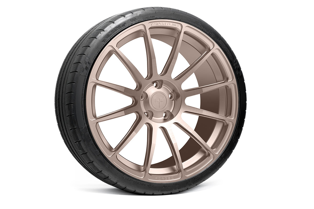 TS112 21&quot; Tesla Model S Replacement Wheel and Tire