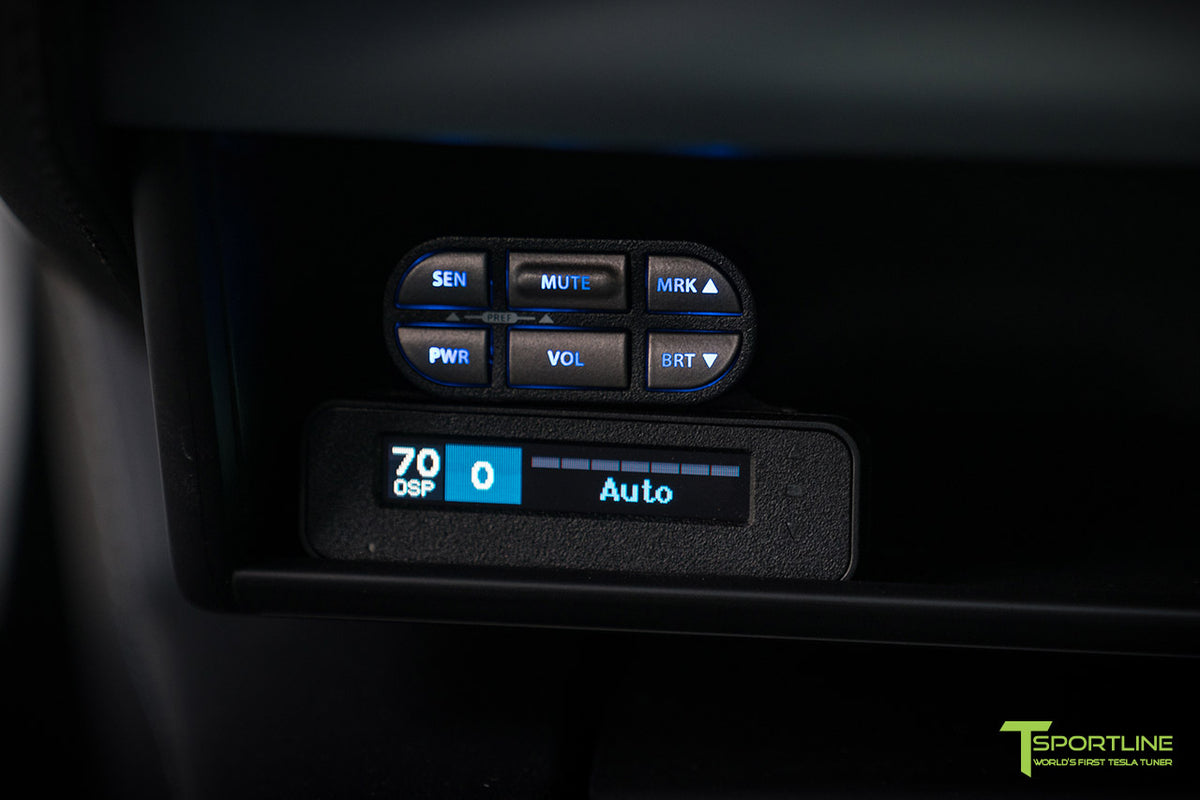 Tesla Ticket Avoidance System