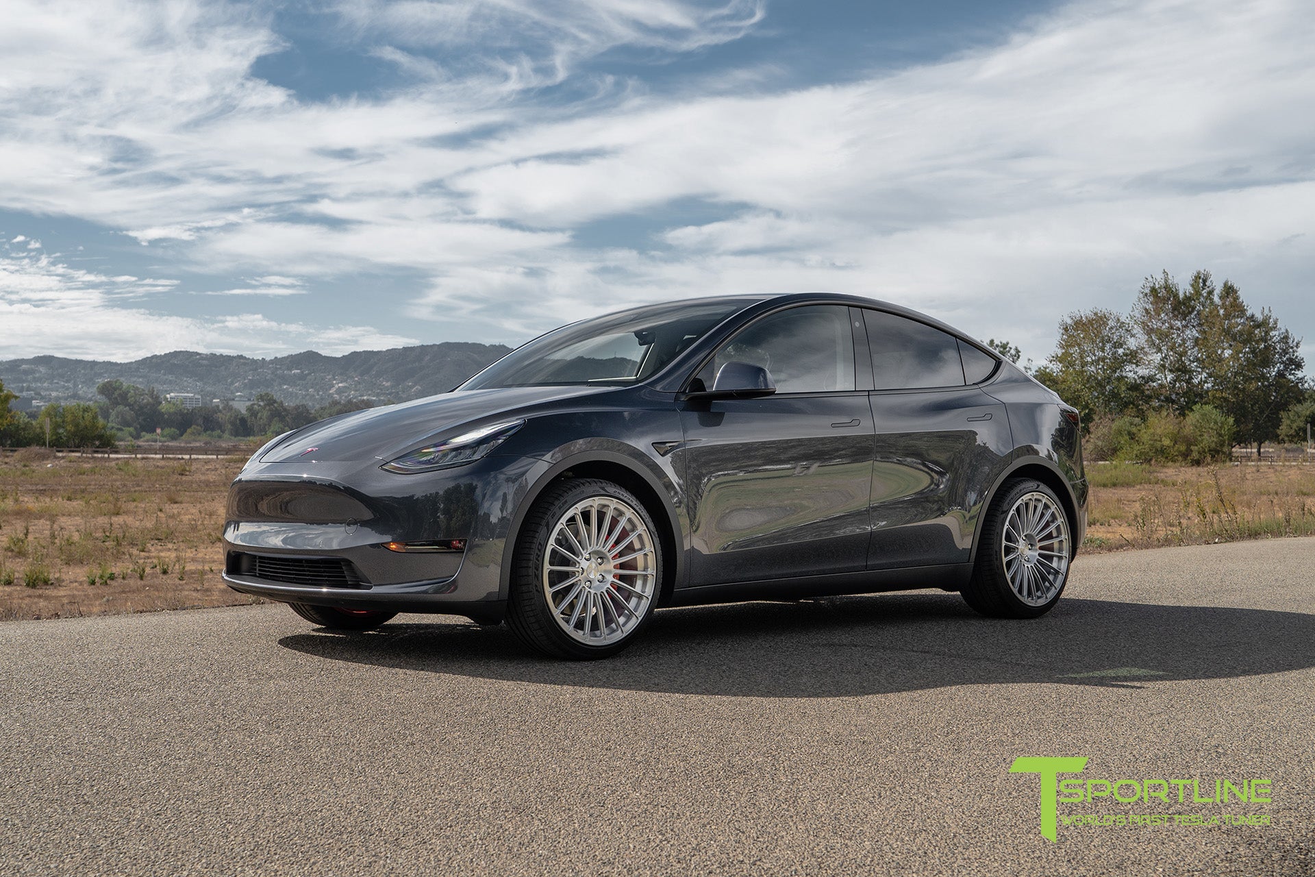 TY118 21" Tesla Model Y Wheel and Tire Package (Set of 4)